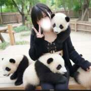 ヒメ日記 2025/11/27 20:15 投稿 るか スイカ