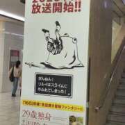 ヒメ日記 2025/12/03 21:02 投稿 るか スイカ