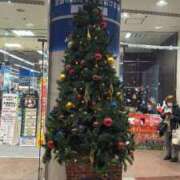 ヒメ日記 2025/12/06 16:15 投稿 るか スイカ