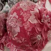 ヒメ日記 2025/11/14 11:07 投稿 初音 おふくろ