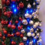 ヒメ日記 2025/11/24 09:47 投稿 初音 おふくろ