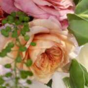 ヒメ日記 2025/11/25 09:42 投稿 初音 おふくろ