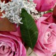 ヒメ日記 2025/12/02 09:25 投稿 初音 おふくろ