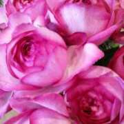 ヒメ日記 2025/12/10 08:41 投稿 初音 おふくろ