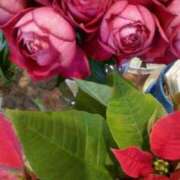 ヒメ日記 2025/12/16 11:14 投稿 初音 おふくろ