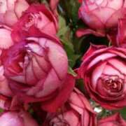 ヒメ日記 2025/12/20 09:13 投稿 初音 おふくろ