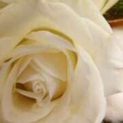 ヒメ日記 2025/12/27 00:39 投稿 初音 おふくろ