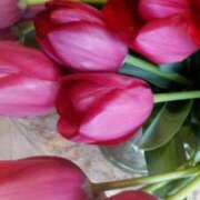 ヒメ日記 2025/12/28 09:51 投稿 初音 おふくろ