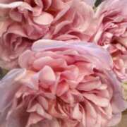 初音 ありがとうございました😆💕✨ おふくろ