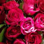 ヒメ日記 2025/12/29 22:45 投稿 初音 おふくろ