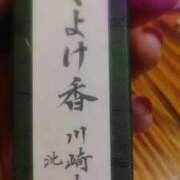 ヒメ日記 2025/12/31 21:05 投稿 初音 おふくろ