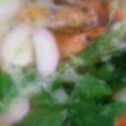 ヒメ日記 2026/01/01 17:15 投稿 初音 おふくろ