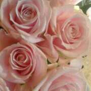 ヒメ日記 2026/01/03 10:46 投稿 初音 おふくろ