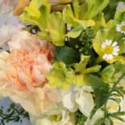 ヒメ日記 2026/01/13 11:23 投稿 初音 おふくろ