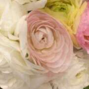 ヒメ日記 2026/01/14 10:40 投稿 初音 おふくろ