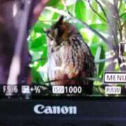 ヒメ日記 2026/01/17 09:44 投稿 初音 おふくろ