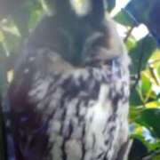 ヒメ日記 2026/01/19 08:51 投稿 初音 おふくろ