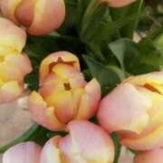 ヒメ日記 2026/01/20 10:17 投稿 初音 おふくろ