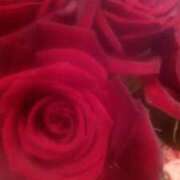 ヒメ日記 2026/01/21 23:08 投稿 初音 おふくろ