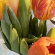 ヒメ日記 2026/01/23 10:15 投稿 初音 おふくろ