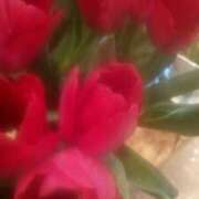 ヒメ日記 2026/01/24 10:28 投稿 初音 おふくろ