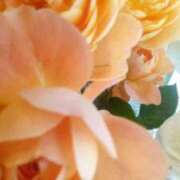 ヒメ日記 2026/01/27 22:58 投稿 初音 おふくろ