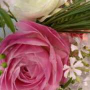 ヒメ日記 2026/01/30 10:26 投稿 初音 おふくろ