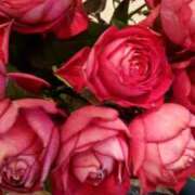 ヒメ日記 2026/02/01 00:37 投稿 初音 おふくろ