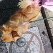 ヒメ日記 2026/02/02 23:44 投稿 初音 おふくろ