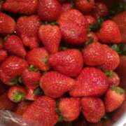 ヒメ日記 2026/02/03 09:47 投稿 初音 おふくろ