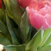 ヒメ日記 2026/02/04 09:51 投稿 初音 おふくろ