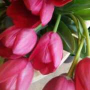 ヒメ日記 2026/02/08 10:29 投稿 初音 おふくろ