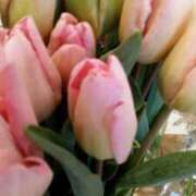 ヒメ日記 2026/02/08 22:09 投稿 初音 おふくろ