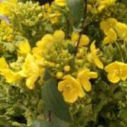 ヒメ日記 2026/02/10 09:17 投稿 初音 おふくろ