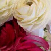 ヒメ日記 2026/02/11 22:36 投稿 初音 おふくろ