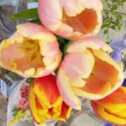 ヒメ日記 2026/02/12 22:59 投稿 初音 おふくろ