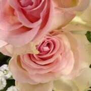 ヒメ日記 2026/02/13 10:45 投稿 初音 おふくろ