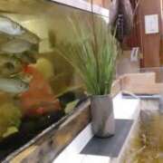 ヒメ日記 2026/02/15 00:23 投稿 初音 おふくろ