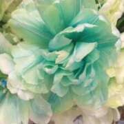 ヒメ日記 2026/02/18 09:51 投稿 初音 おふくろ