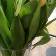 ヒメ日記 2026/02/20 10:45 投稿 初音 おふくろ