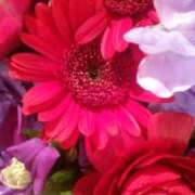 ヒメ日記 2026/02/20 23:16 投稿 初音 おふくろ