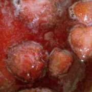 ヒメ日記 2026/02/25 01:09 投稿 初音 おふくろ