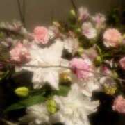 ヒメ日記 2026/02/25 23:21 投稿 初音 おふくろ