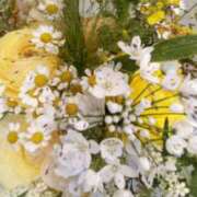 ヒメ日記 2026/02/27 23:47 投稿 初音 おふくろ