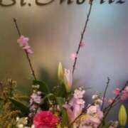 ヒメ日記 2026/03/03 00:20 投稿 初音 おふくろ