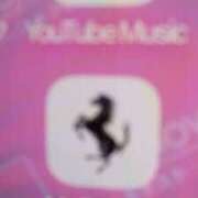 ヒメ日記 2026/03/03 22:18 投稿 初音 おふくろ