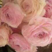 ヒメ日記 2026/03/04 23:05 投稿 初音 おふくろ