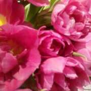 ヒメ日記 2026/03/06 10:12 投稿 初音 おふくろ