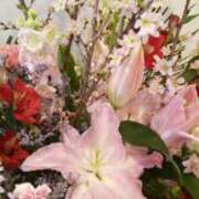 ヒメ日記 2026/03/09 10:03 投稿 初音 おふくろ