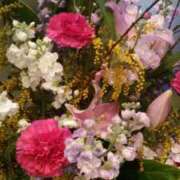 ヒメ日記 2026/03/12 23:58 投稿 初音 おふくろ